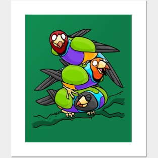 Gouldian Finches Tower Posters and Art